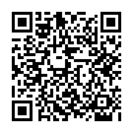 QR code for YYN6291