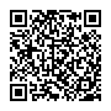QR code for YYQ095