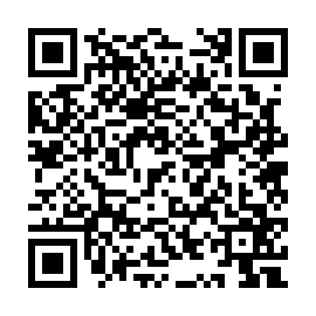 QR code for YYR1663