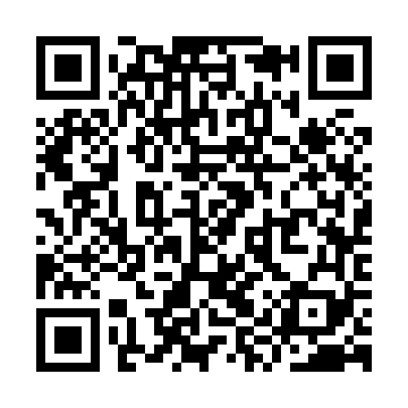 QR code for YYS869