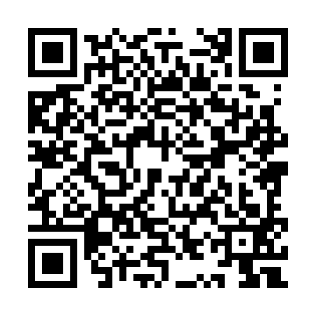 QR code for YYX3934