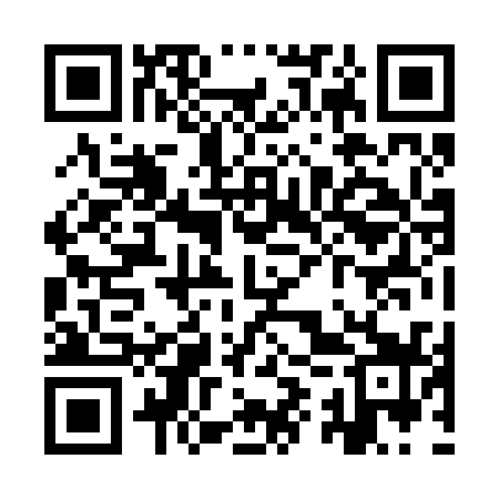 QR code for YYZ239