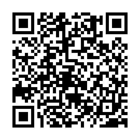 QR code for YZI0538
