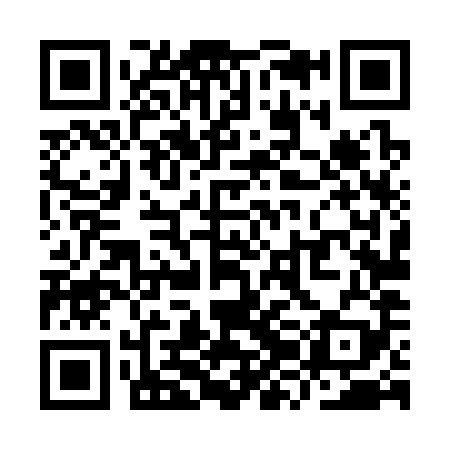 QR code for YZL389