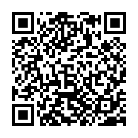 QR code for YZO010