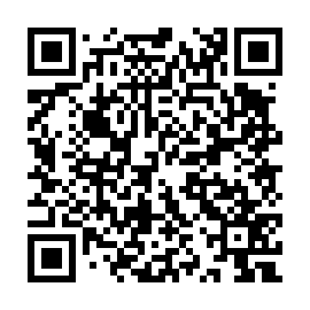 QR code for YZP477