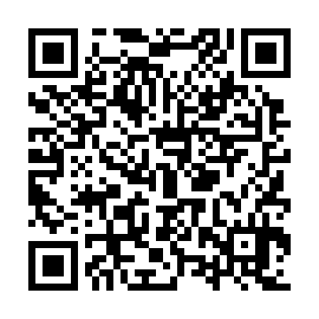 QR code for YZT334