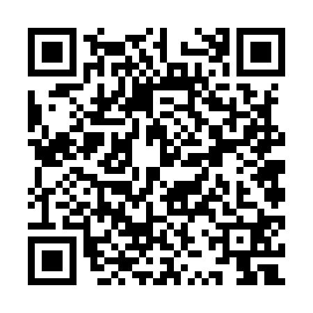 QR code for YZV9209