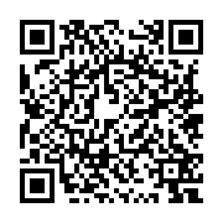 QR code for YZZ9234
