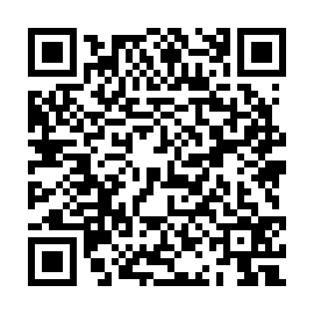QR code for ZAM2369