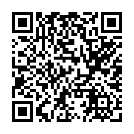 QR code for ZBW294