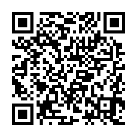 QR code for ZBZ391