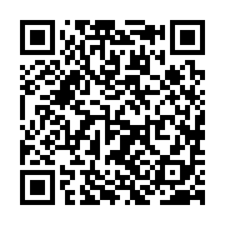 QR code for ZCH398