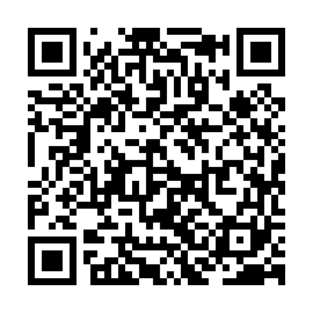 QR code for ZCI061