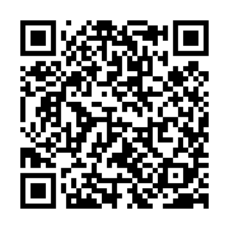 QR code for ZCI489