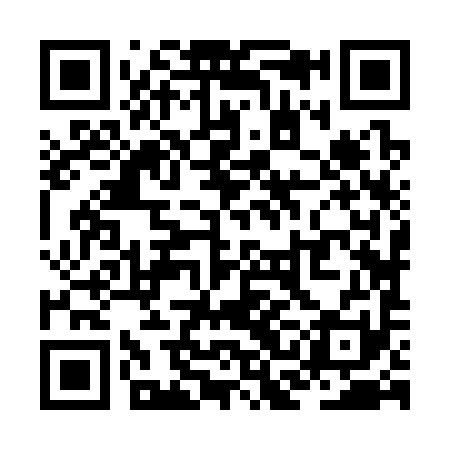 QR code for ZCJ391