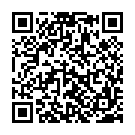 QR code for ZCM096