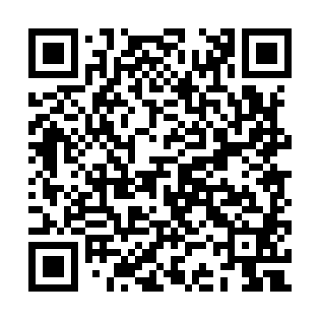 QR code for ZCP980