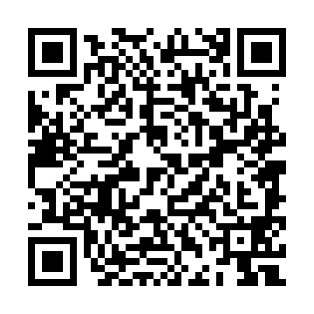 QR code for ZDD3985