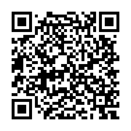 QR code for ZDE555