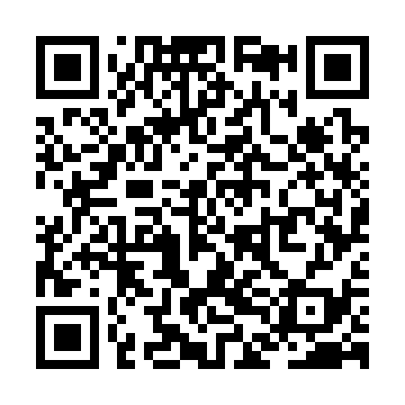 QR code for ZDG339