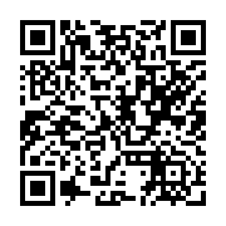 QR code for ZDI953