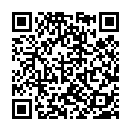 QR code for ZDL439
