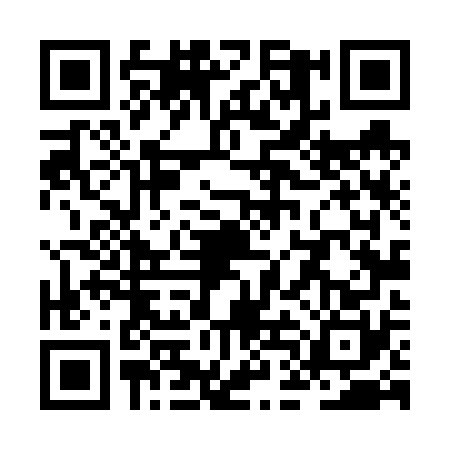 QR code for ZDL6709
