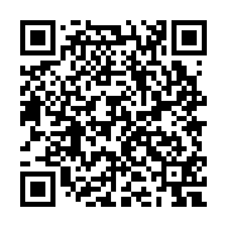 QR code for ZDM311