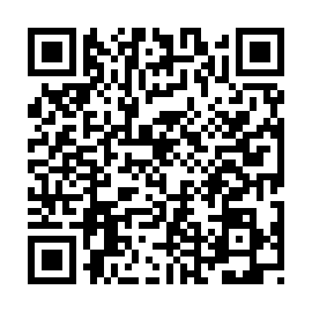 QR code for ZDM9389