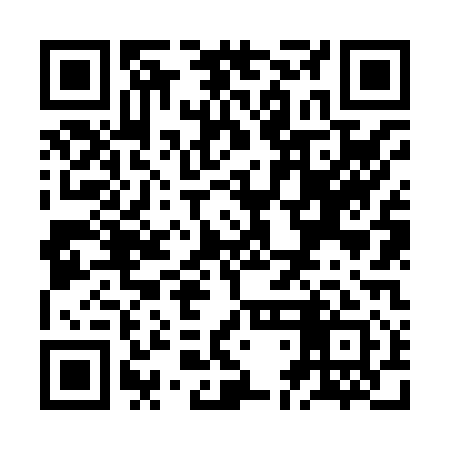 QR code for ZDN811