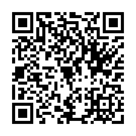 QR code for ZDN9381