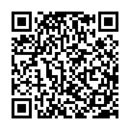 QR code for ZDP161
