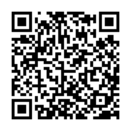 QR code for ZDP689