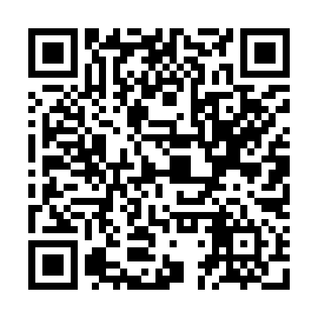 QR code for ZDT994
