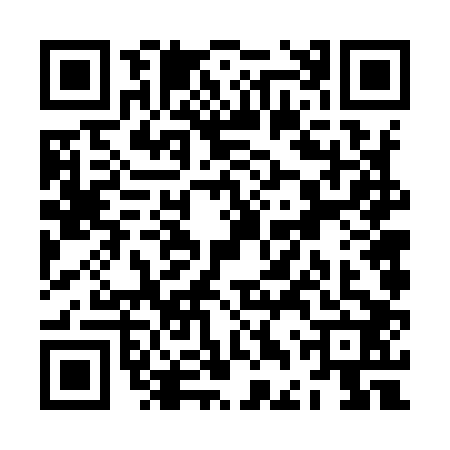 QR code for ZDV9029