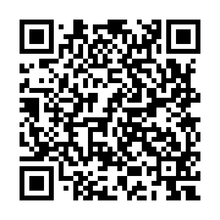 QR code for ZES993