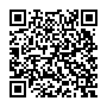 QR code for ZEW666