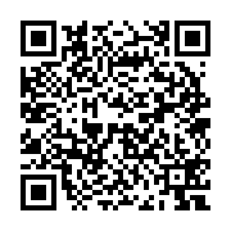 QR code for ZFC2196