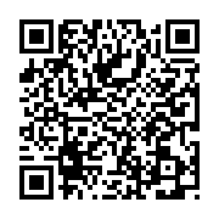QR code for ZFL1538