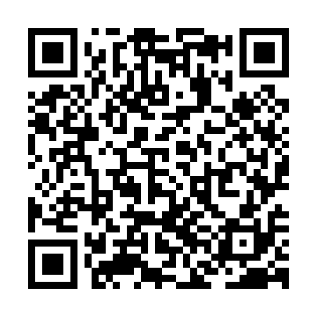 QR code for ZFO010