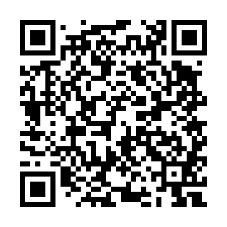 QR code for ZFW481