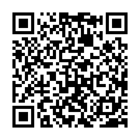 QR code for ZGP335