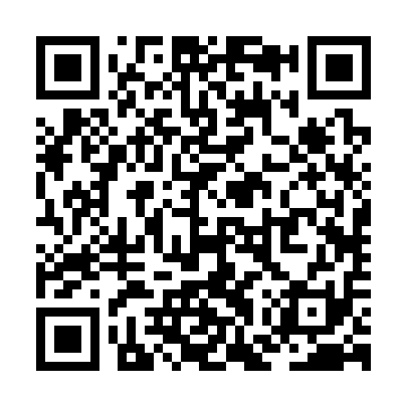 QR code for ZGR311