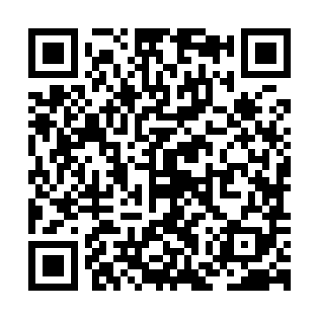QR code for ZGZ989