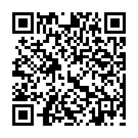 QR code for ZHG380