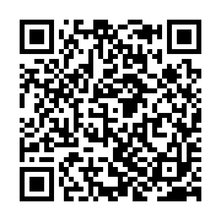 QR code for ZHG393