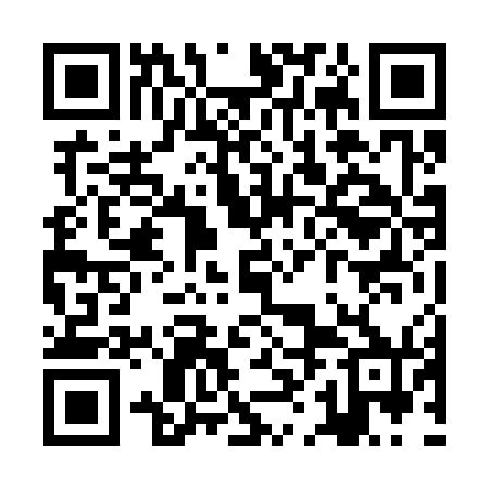 QR code for ZHN370