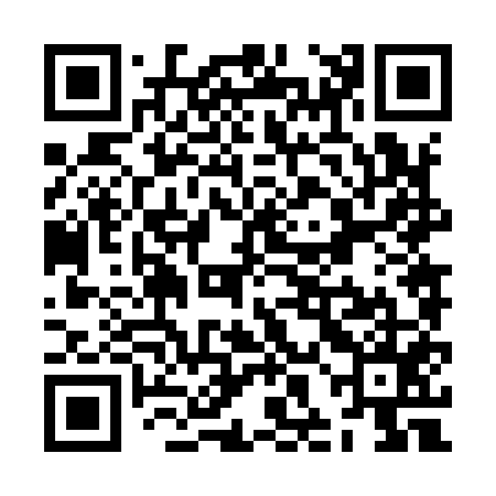 QR code for ZHN955