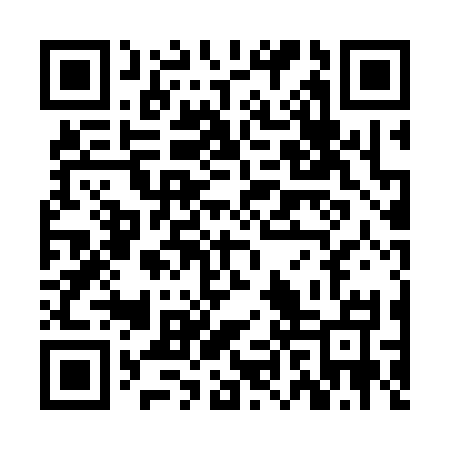 QR code for ZHP335